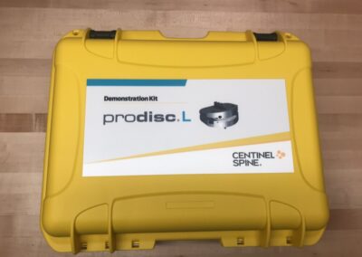 Demo Case 2